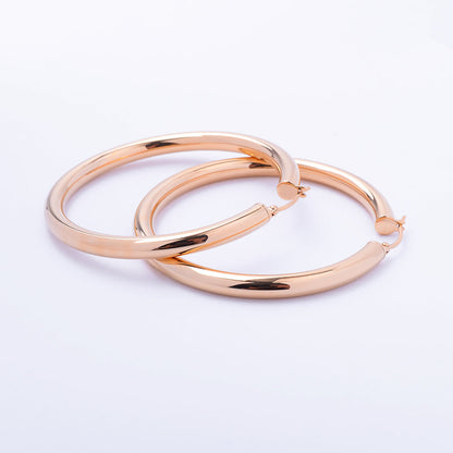 Kenzy Mii- Stainless Steel Loop Women's Earings